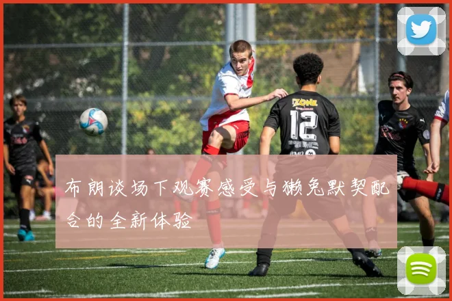 布朗谈场下观赛感受与獭兔默契配合的全新体验